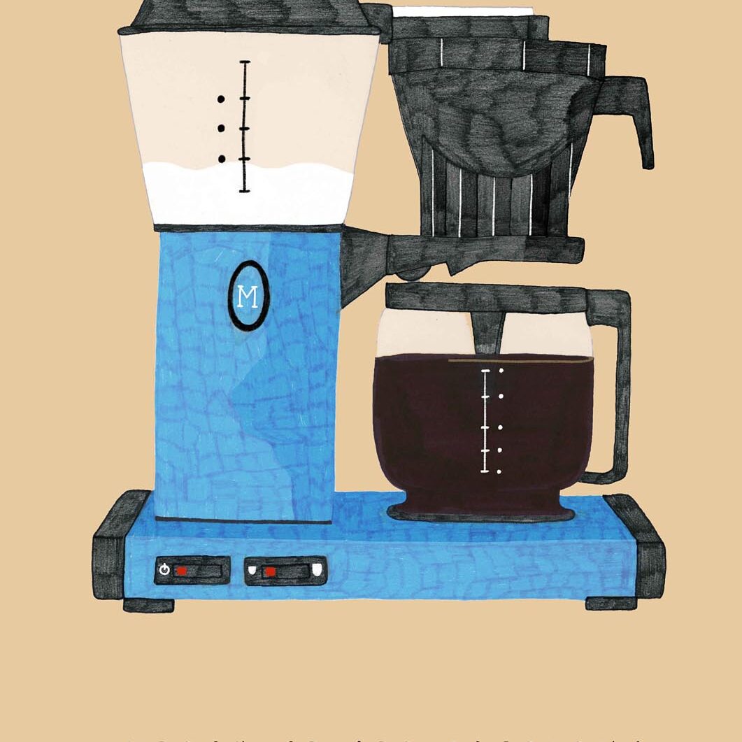 portfolio Matylda Daktyl